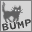 NO BUMP NO LIFE